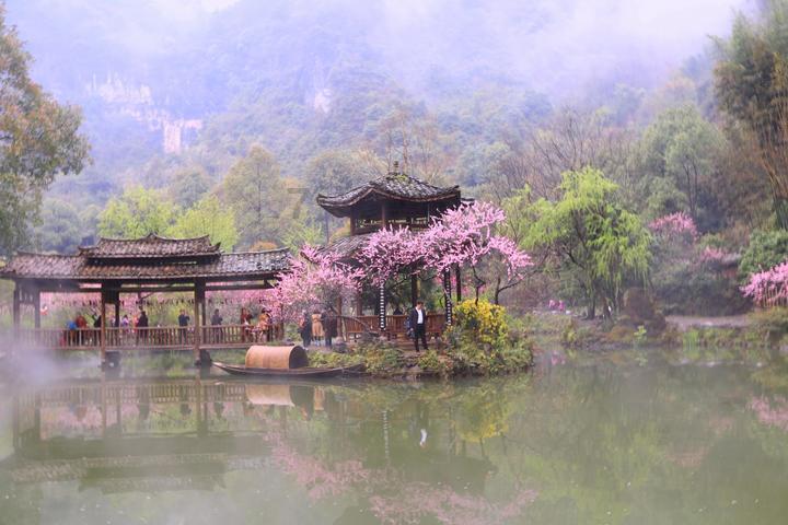 牧场物语希望之光